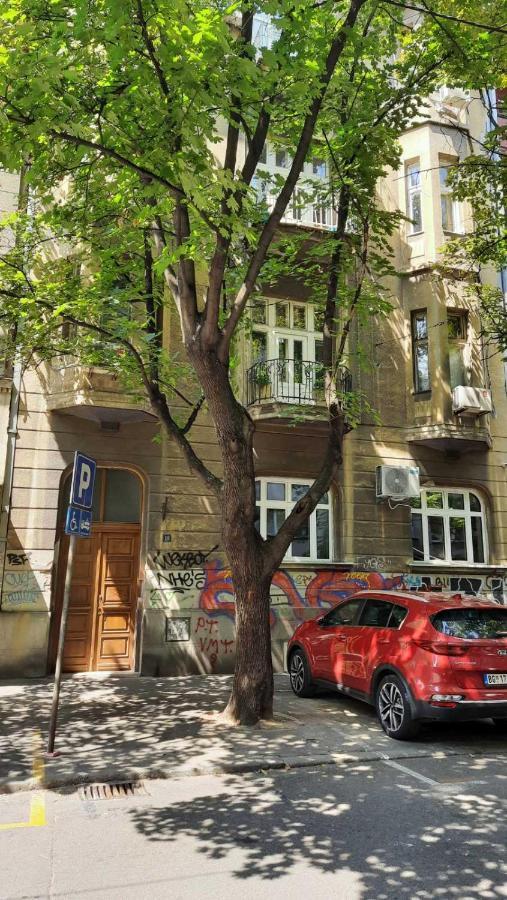 Apartmán Duplex Studio Mansarda Bělehrad Exteriér fotografie